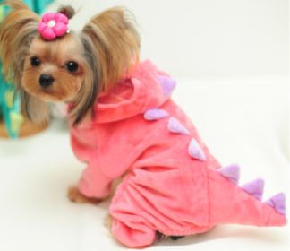 Halloween Dog Clothes Stretch Dinosaur Transformation Costume (Option: Pink-L)